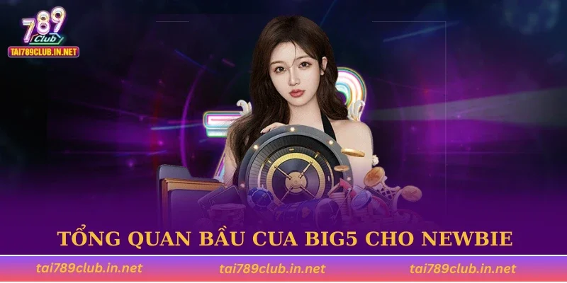 Tổng quan bầu cua Big5 cho người mới bắt đầu