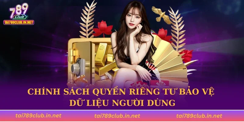 Chính sách quyền riêng tư bảo vệ dữ liệu người dùng